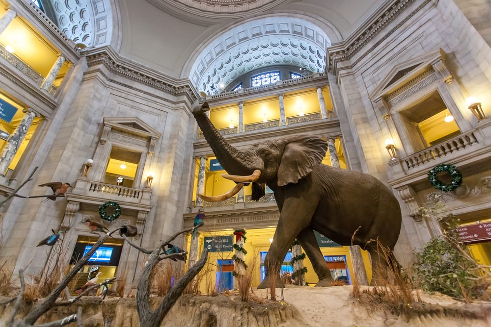 The Top 10 Most Visited Museums in the World